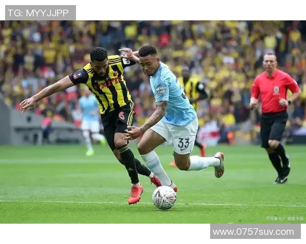 沃特福德对阵切尔西精彩直播全程回顾与赛后分析 沃特福德对阵切尔西精彩直播全程回顾与赛后分析